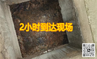 �����������ͨ