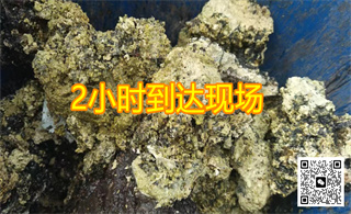 ѧУ������ͨ