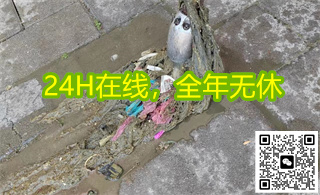 �ܵ��ദ������ͨ�۸�