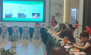 ���ͳ������۸�